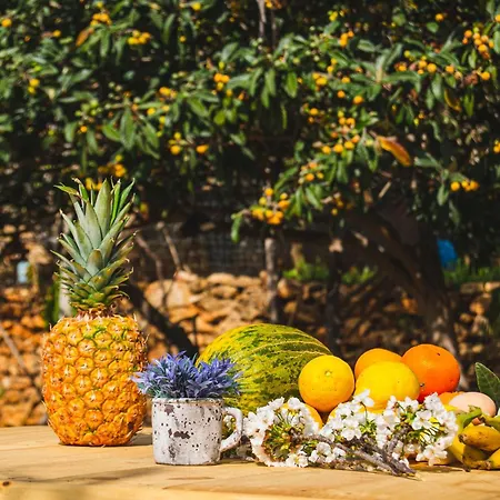 Rural Prats 아파트