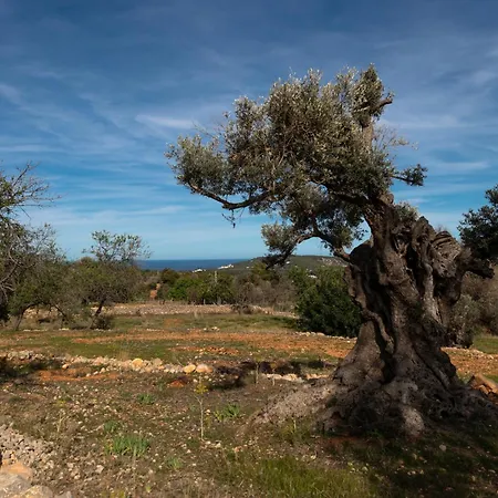 Rural Prats Sant Carles de Peralta