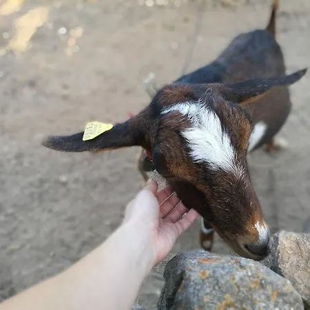 Rural Prats *