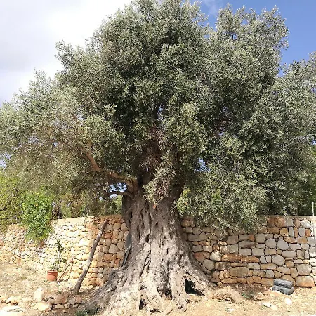 Rural Prats * 산타 에우랄리아 데 리오