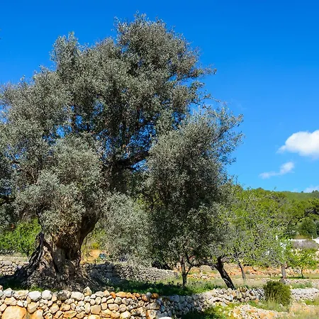 Apartman Rural Prats Santa Eularia des Riu