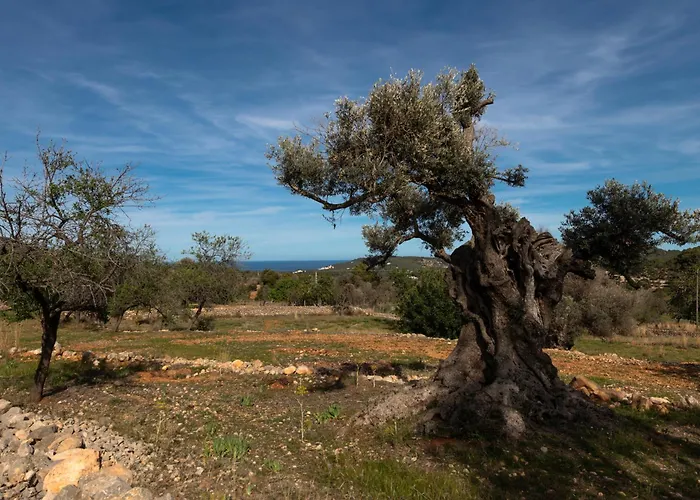 Rural Prats Santa Eularia des Riu