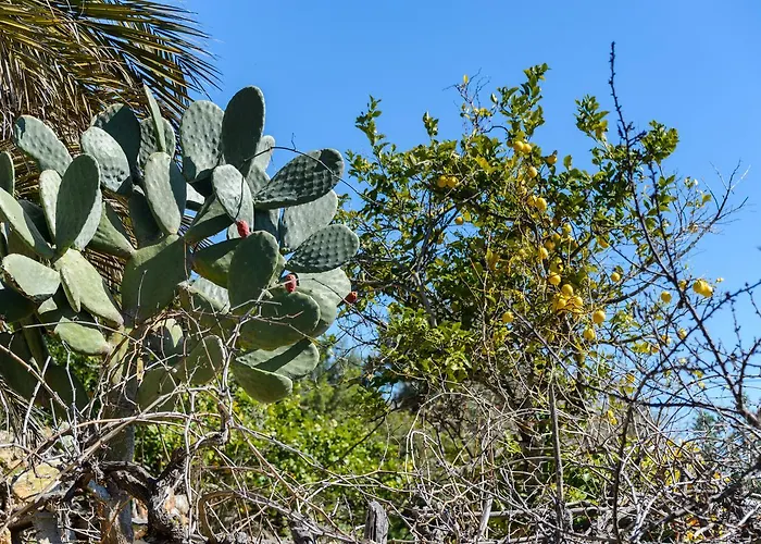 Rural Prats Apartmán Santa Eularia des Riu