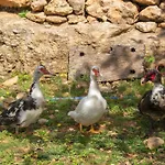 Rural Prats 아파트 산타 에우랄리아 데 리오