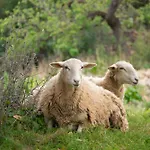 Rural Prats 아파트 산타 에우랄리아 데 리오
