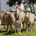Rural Prats 산타 에우랄리아 데 리오