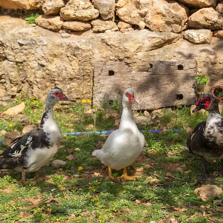 Rural Prats Apartment Santa Eulària des Riu