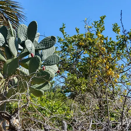 Rural Prats Apartment Santa Eularia des Riu