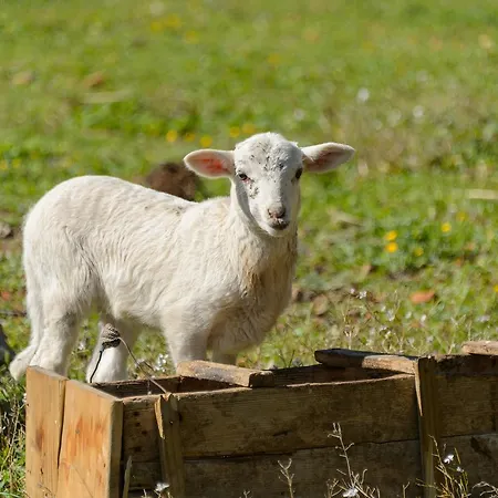 Rural Prats サンタ・エウラリア・デス・リウ