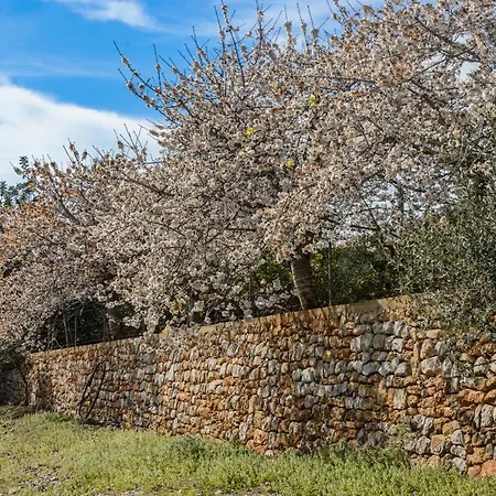 Apartment Rural Prats *