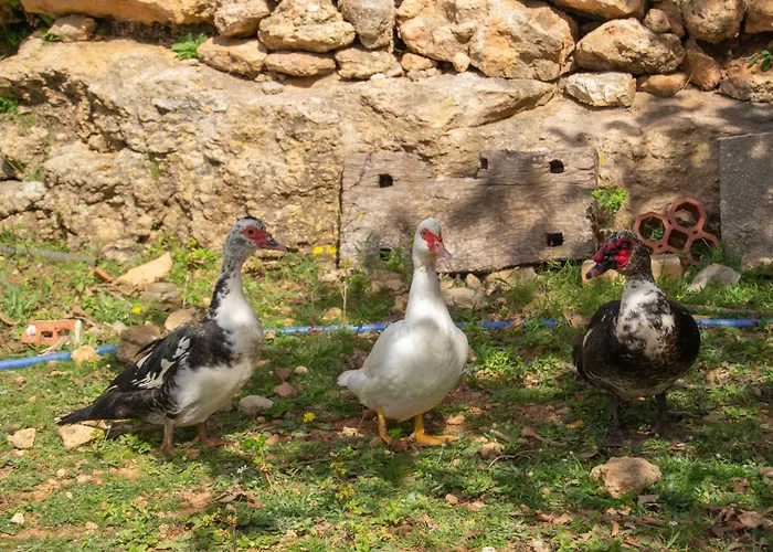 Rural Prats شقة سانتا أيُلاريا ذيس ريو