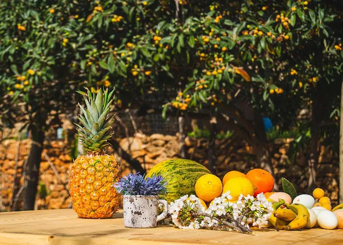 Rural Prats Apartment