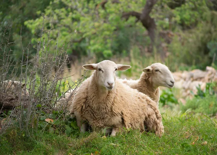 Rural Prats شقة سانتا أيُلاريا ذيس ريو
