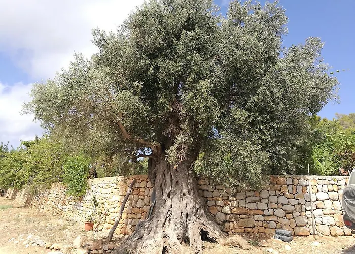 Rural Prats * سانتا أيُلاريا ذيس ريو