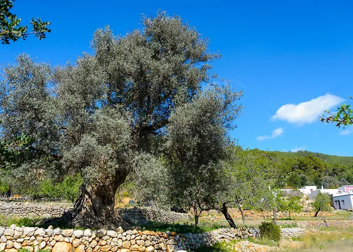 شقة Rural Prats سانتا أيُلاريا ذيس ريو