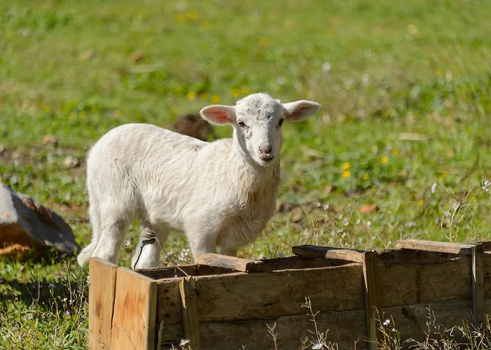 Rural Prats سانتا أيُلاريا ذيس ريو