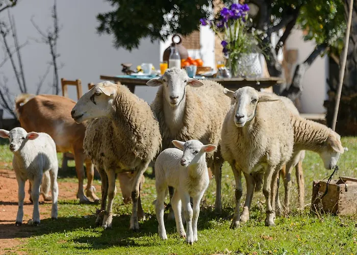 Rural Prats سانتا أيُلاريا ذيس ريو