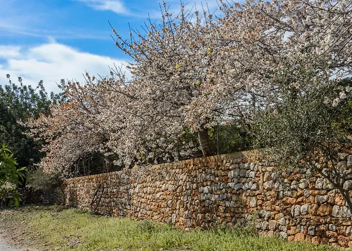 Apartment Rural Prats *